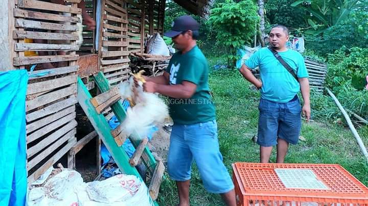Penerima Bantuan Ternakan Program 1 Juta 1 Pekarangan Panen Perdana