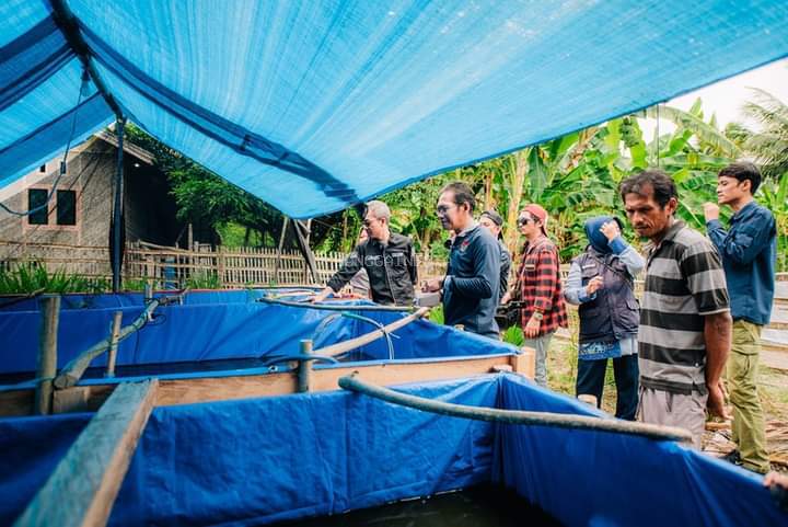 Dinas Perikanan Banggai Tinjau Perkembangan Budi Daya Lele