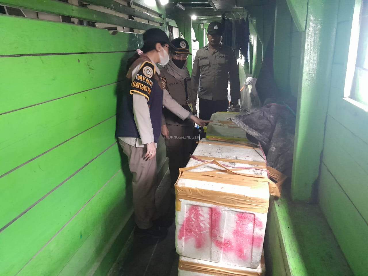 Lagi, Subsektor KP3 Luwuk Bersama Karantina Pertanian Amankan Daging Sapi Tanpa Dokumen