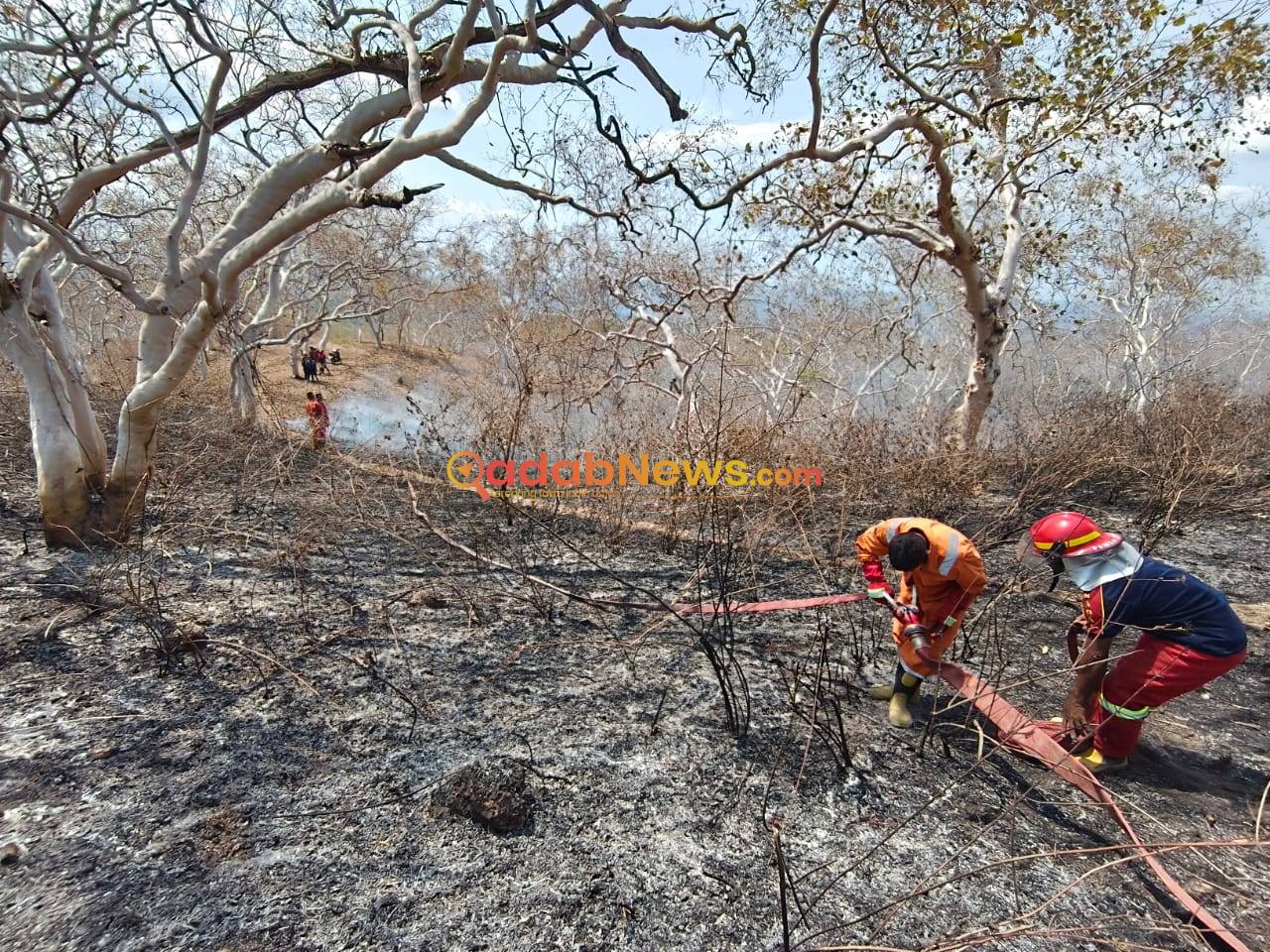 Tim Damkar Gerak Cepat Padamkan Karhutla, Titik Hotspot di Lembata 2.367 Ha