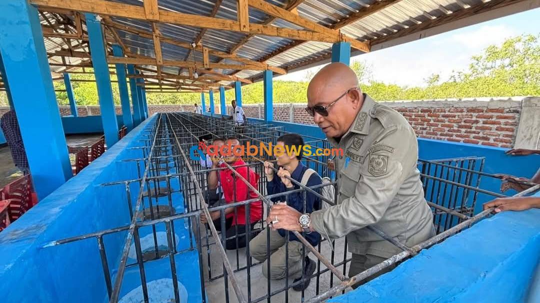 Bupati Lembata Gaspol Sentra Ternak Bukit Hog, Siapkan Pasar Ekspor Babi ke Timor Leste
