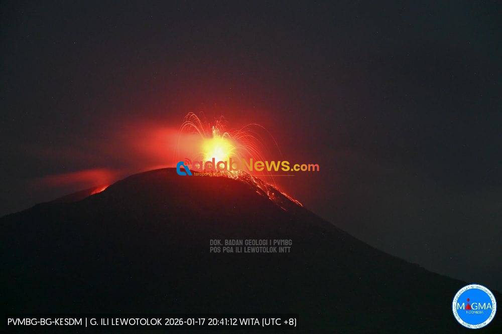 Letusan Gunung Ili Lewotolok Tercatat 466 dalam Sehari, Wilayah Timur Lembata Terdampak Abu Vulkanis