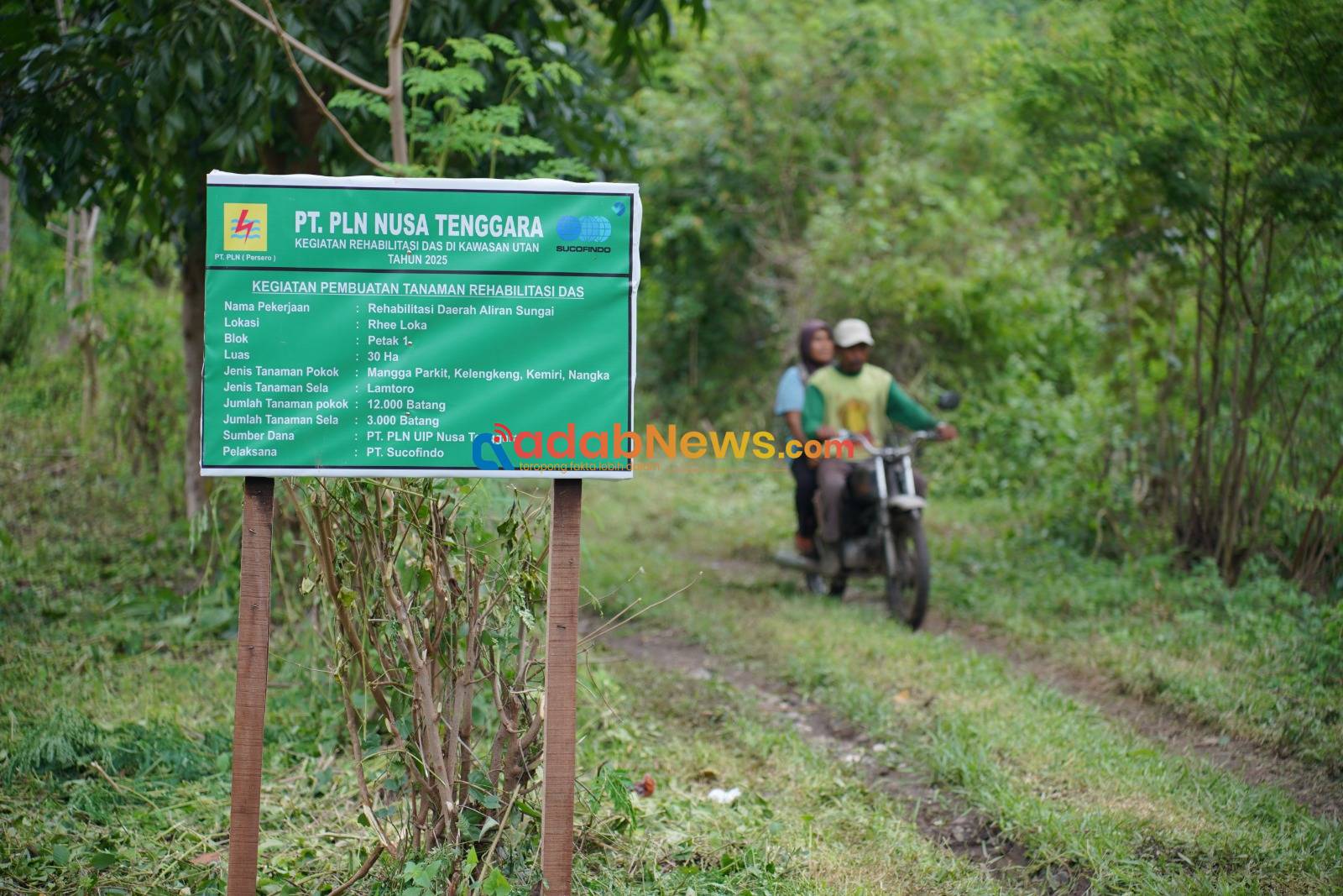 PLN Tanam 30.000 Pohon, Perkuat Rehabilitasi DAS Manni di Sumbawa 