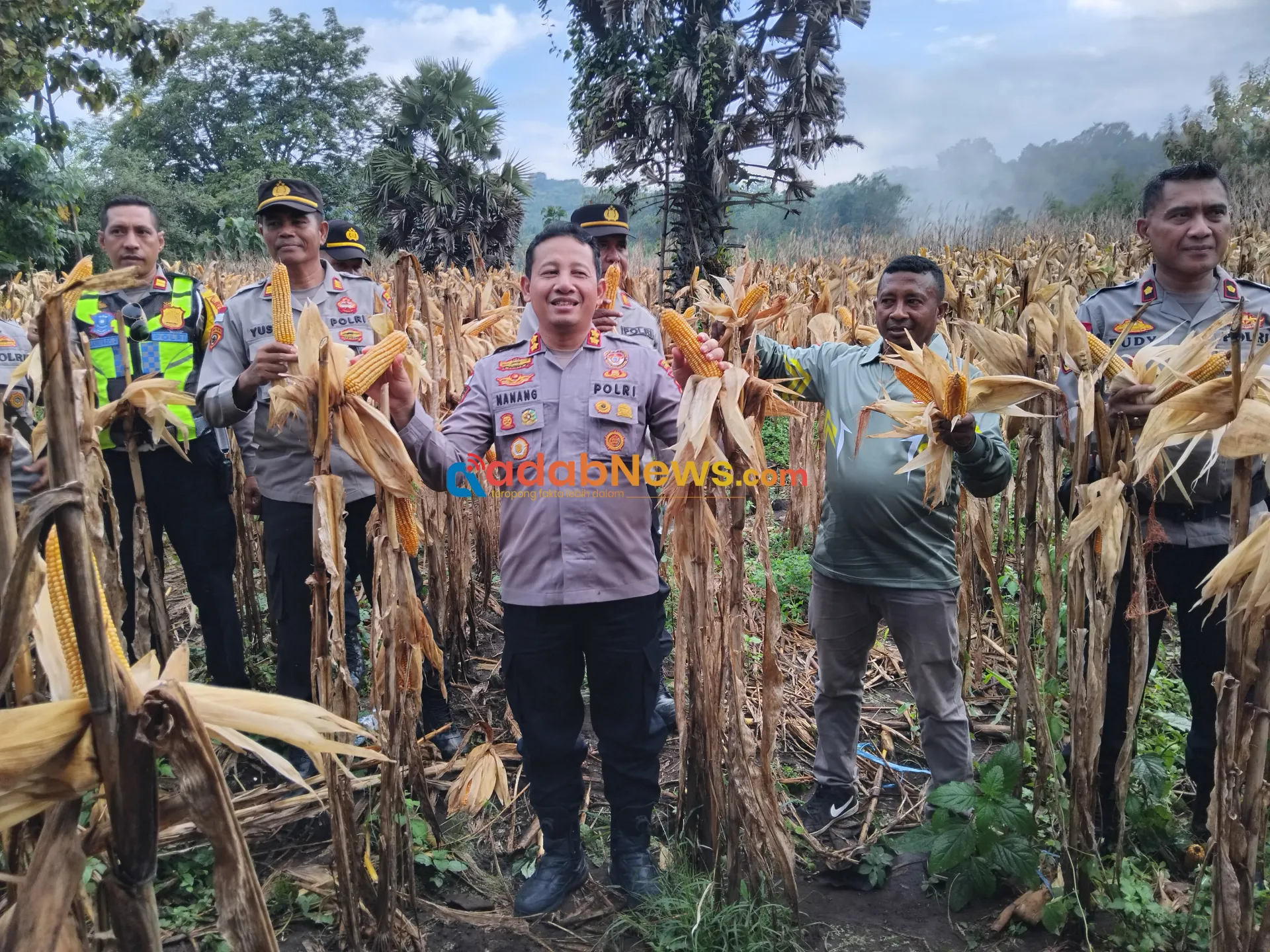 Kapolres Lembata Panen Perdana di Kebun Anggota, Wujud Dukungan Polri untuk Swasembada Pangan