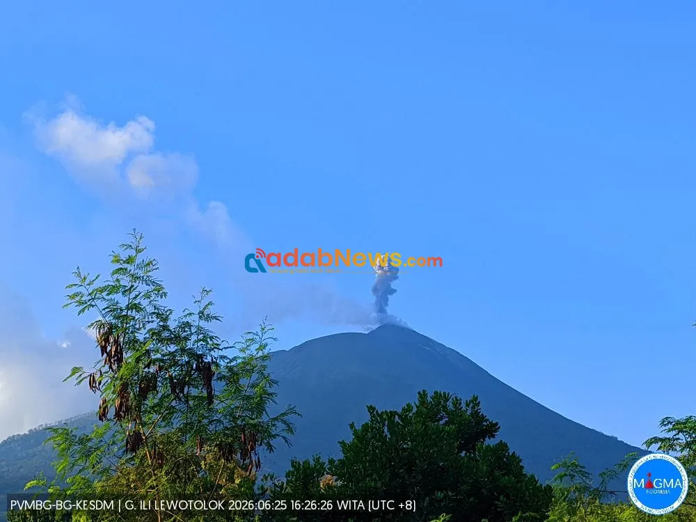 Gunung Ili Lewotolok Erupsi 59 Kali dalam Sehari, Status Tetap Level II Waspada
