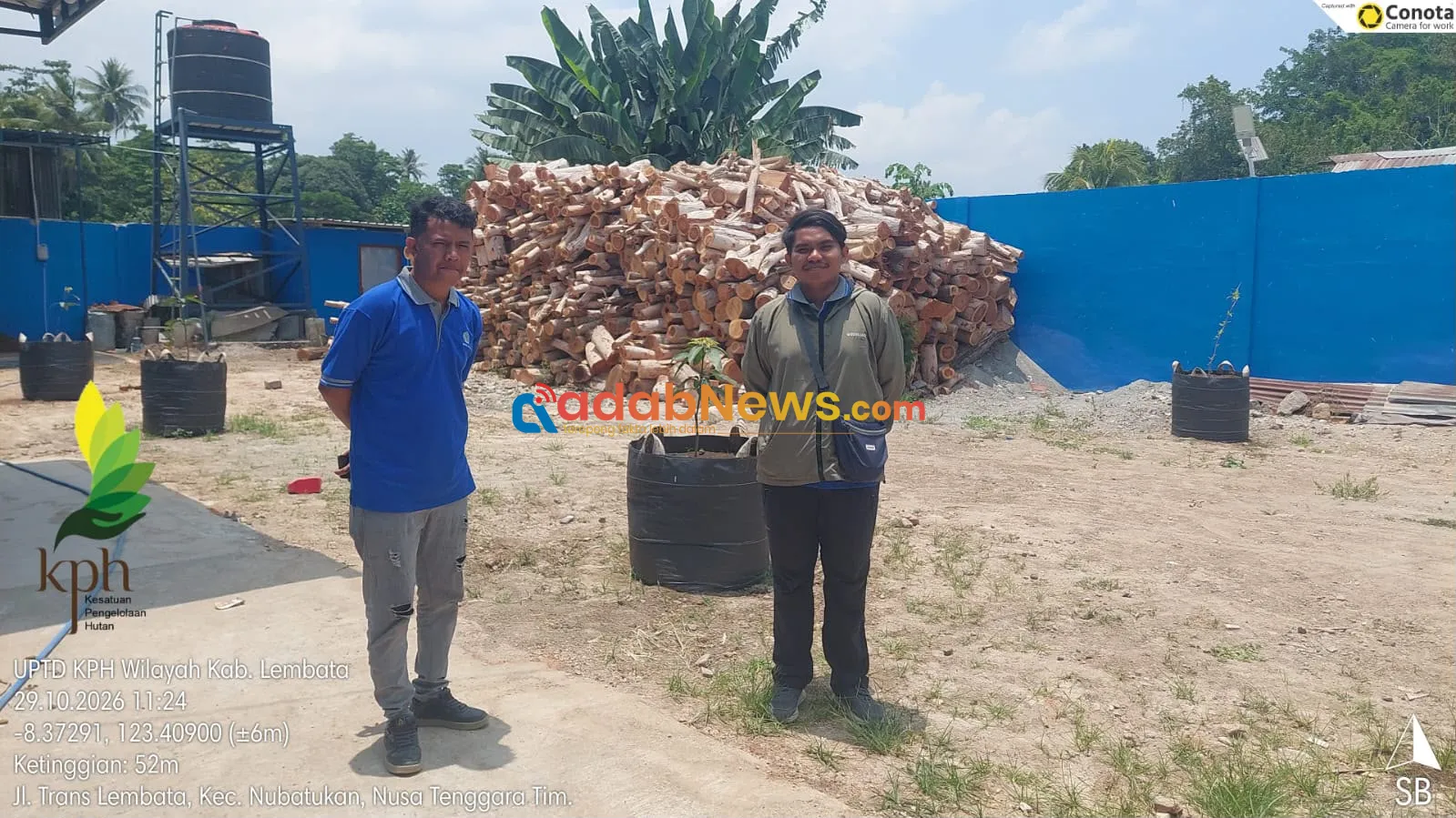 Penebangan Pelawan Marak, BPBD Lembata Ingatkan Ancaman Erosi hingga Kerusakan Pesisir